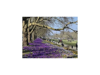 Ferienpark Stettin Umgebung 17