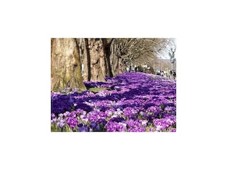 Vakantiepark Stettin Omgeving 19