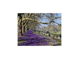 Parco vacanze Stettin Ambiente 20