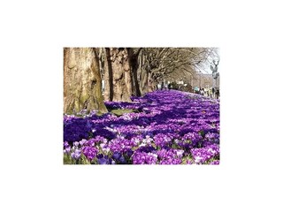 Parco vacanze Stettin Ambiente 15