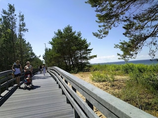 Ferienpark Lubin Umgebung 24