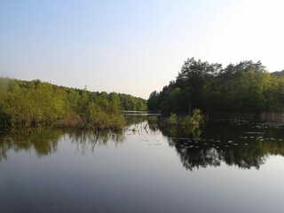 Parco vacanze Kołczewo  20