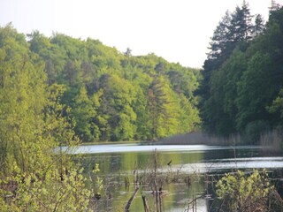 Parco vacanze Kołczewo  22