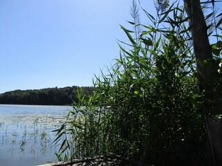 Vakantiepark Kołczewo Omgeving 14