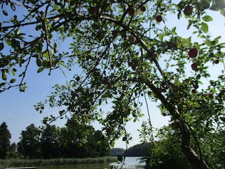 Holiday park Kołczewo Environment 16