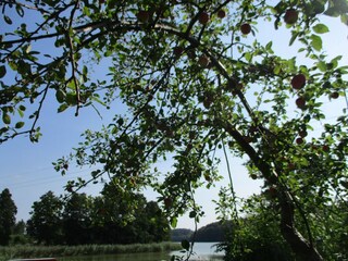 Parque de vacaciones Kołczewo Entorno 19