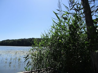 Holiday park Kołczewo Environment 18