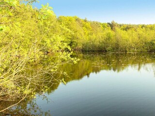 Holiday park Kołczewo  11