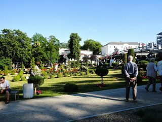 Parc de vacances Misdroy Environnement 44