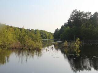 Parque de vacaciones Kołczewo Entorno 18