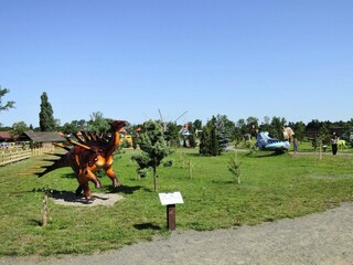 Parco vacanze Dziwnowek Registrazione all'aperto 6