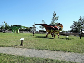 Holiday park Dziwnowek Environment 22