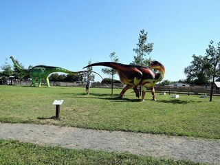 Parque de vacaciones Dziwnowek Entorno 27