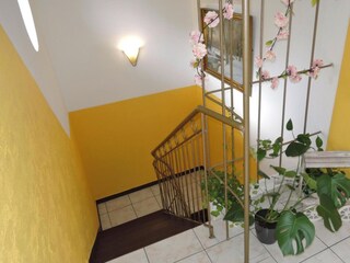 Parco vacanze Misdroy  20