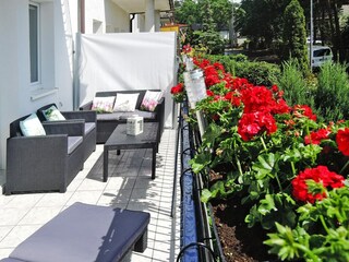 Parco vacanze Misdroy  22