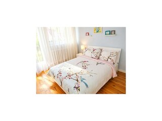 Parco vacanze Misdroy Caratteristiche 4