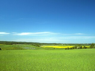 Parque de vacaciones Wicie Entorno 10