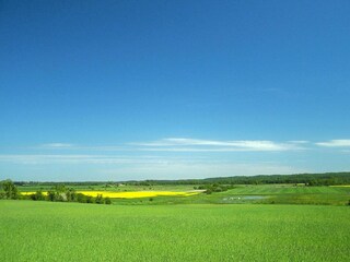 Ferienpark Wicie Umgebung 18