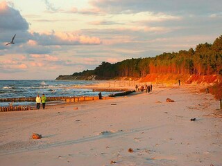 Holiday park Wicie Environment 19