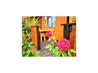 Parque de vacaciones Jarosławiec Grabación al aire libre 5