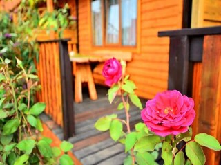 Parco vacanze Jarosławiec  22