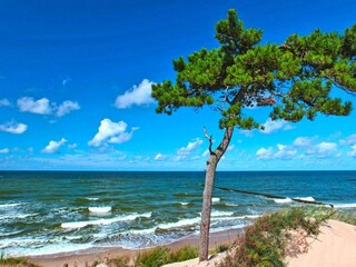 Parco vacanze Wicie  19