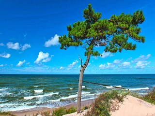 Parco vacanze Wicie  23