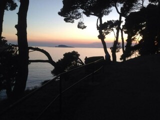 Appartement Cavtat  14