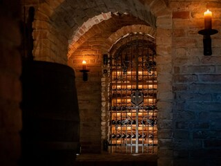 Villa Bad Kleinkirchheim Buitenaudio-opname 13