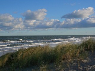 Ferienwohnung Zingst Umgebung 12