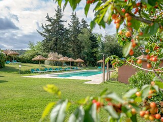 Fattoria Montescudaio Registrazione all'aperto 5