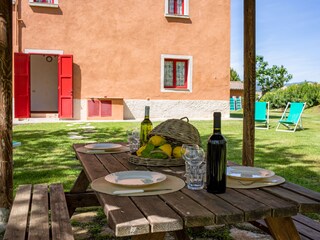 Farmhouse Montescudaio Outdoor Recording 11