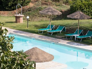 our new pool, 21 mt long