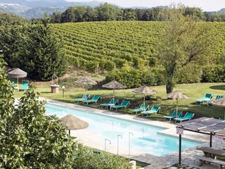 we are surrounded by wineyards and olive trees