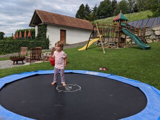 Holiday apartment St. Stefan im Rosental Environment 7