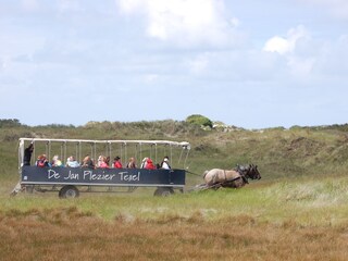 Casa per le vacanze De Koog Ambiente 22