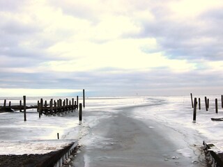 Winter auf Texel