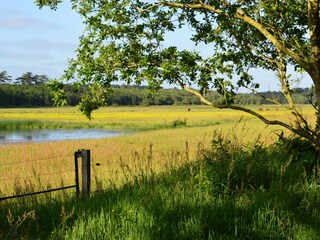 Casa per le vacanze De Koog Ambiente 25