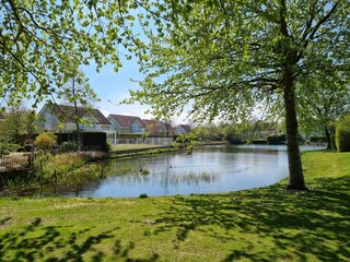 Casa per le vacanze Kamperland Ambiente 29