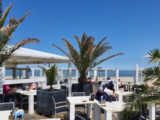 Vakantiehuis Kamperland Omgeving 34