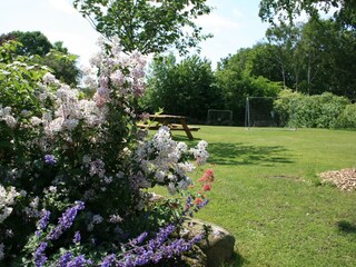 Holiday house Grebin Environment 28