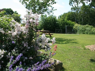 unsere Spielwiese mit Fussballtoren