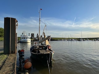 Dangaster Hafen