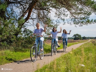 Fahrräder mieten beim Veluwe-Spezialisten