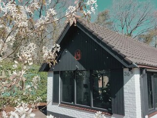 Atmosphärisches Foto der Vorderseite