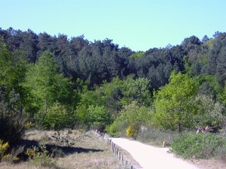 Casa per le vacanze Burgerbrug Ambiente 12
