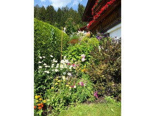 Vakantieappartement Fulpmes Buitenaudio-opname 11