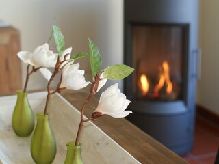 Casa per le vacanze Trippstadt Caratteristiche 8