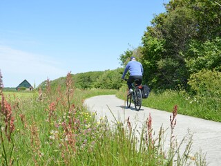 Bungalow Den Burg Ambiente 25