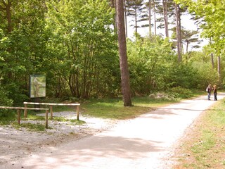 Bungalow Den Burg Ambiente 18